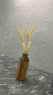 عکاسی حرفه ای