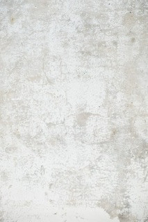 عکاسی تولید محتوا