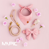 عکاسی پت شاپ